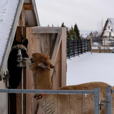 Caloroczne Domki Goralskie Kluszkowce-Czorsztyn エクステリア 写真