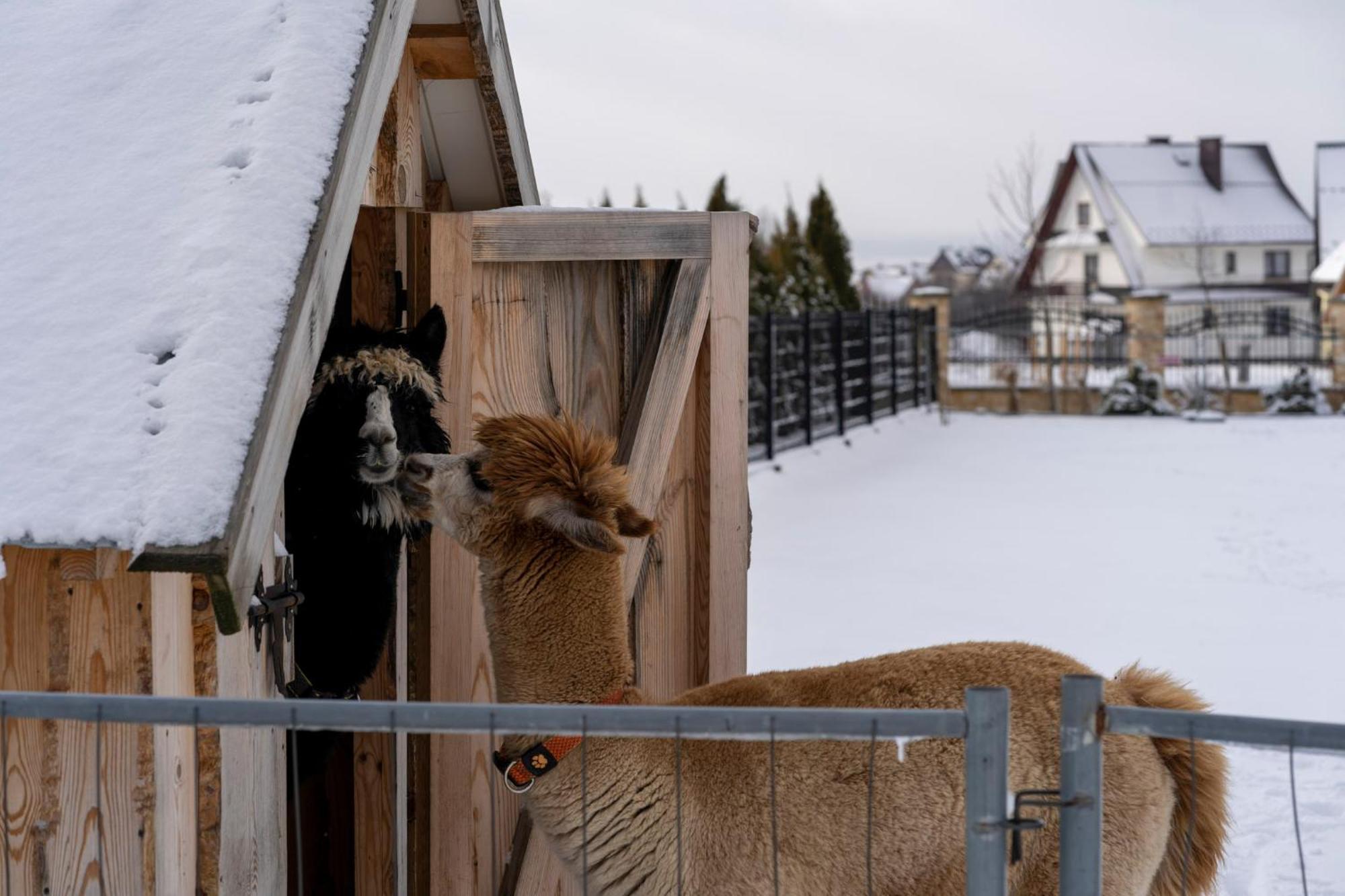 Caloroczne Domki Goralskie Kluszkowce-Czorsztyn エクステリア 写真